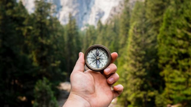 Guide to Investing in Stocks: Strategies and Tips