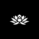Vazirani Asset Management