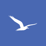 Regatta Research & Money Management