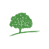 Ranmore Fund Management