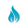 Fire Capital Management
