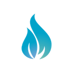 Fire Capital Management