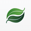 Evergreen Advisors