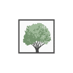 Biondo Investment Advisors