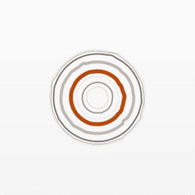 Red Cedar Investment Management