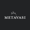Metavasi Capital