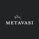 Metavasi Capital