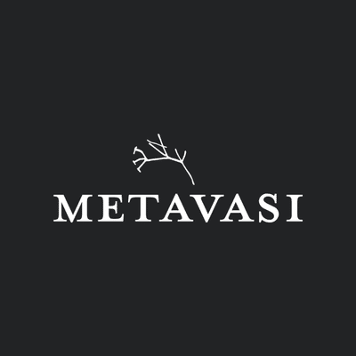 Metavasi Capital