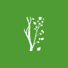 Birchwood Financial Partners