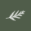 Cedarwood Wealth