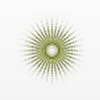 Spectrum Wealth Counsel