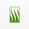 Sawgrass Asset Management