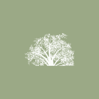 Hickory Asset Management