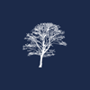 Thompson Davis & Co