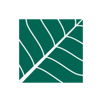 Elm Ridge Management