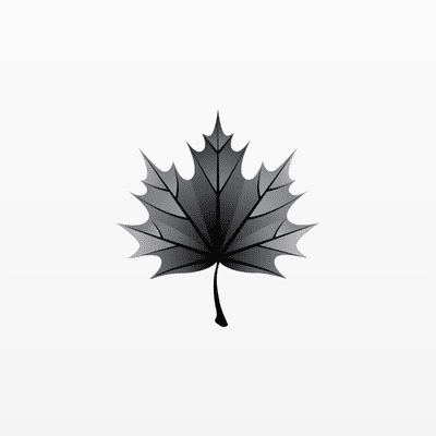 Black Maple Capital Management