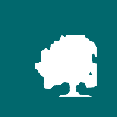 Maple Capital Management