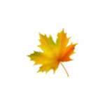 October Effect