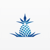 Financial Planning Hawaii
