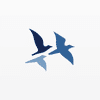 Boone Capital Management