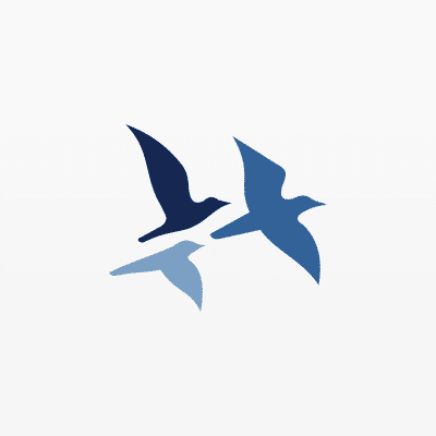 Boone Capital Management