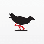 Crake Asset Management