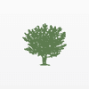 Styrax Capital