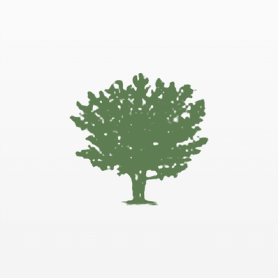 Styrax Capital