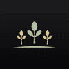 Parkwoods Wealth Partners