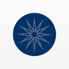 Scion Asset Management