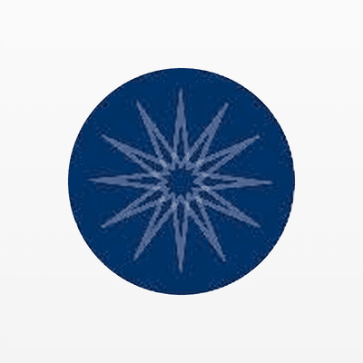 Scion Asset Management
