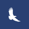 Financial Freedom LLC