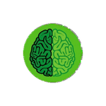 Left Brain Wealth Management
