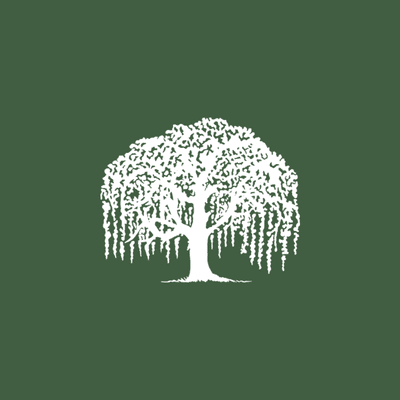 Willow Financial