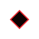 BDFS Capital