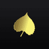 Aspen Investment Management