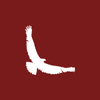 Redstone Wealth Management