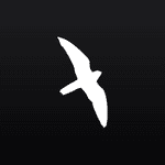 Merlin Capital