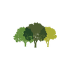 Canopy Partners
