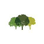 Canopy Partners