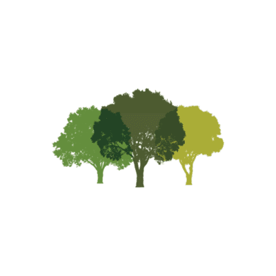 Canopy Partners