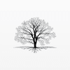 Water Oak Advisors