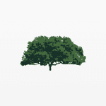 Dividend Assets Capital