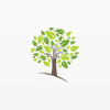 Woodside Wealth Management
