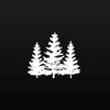 White Pine Capital