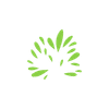 Live Oak Investment Partners
