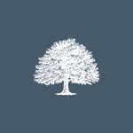 Sheets Smith Investment Management