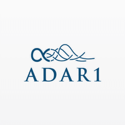 ADAR1 Capital Management