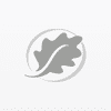 SilverOak Wealth Management
