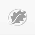 SilverOak Wealth Management